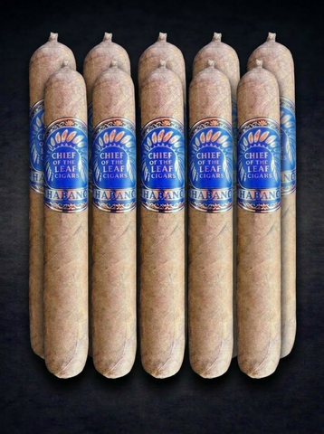 10 Pack Chief of The Leaf Habano